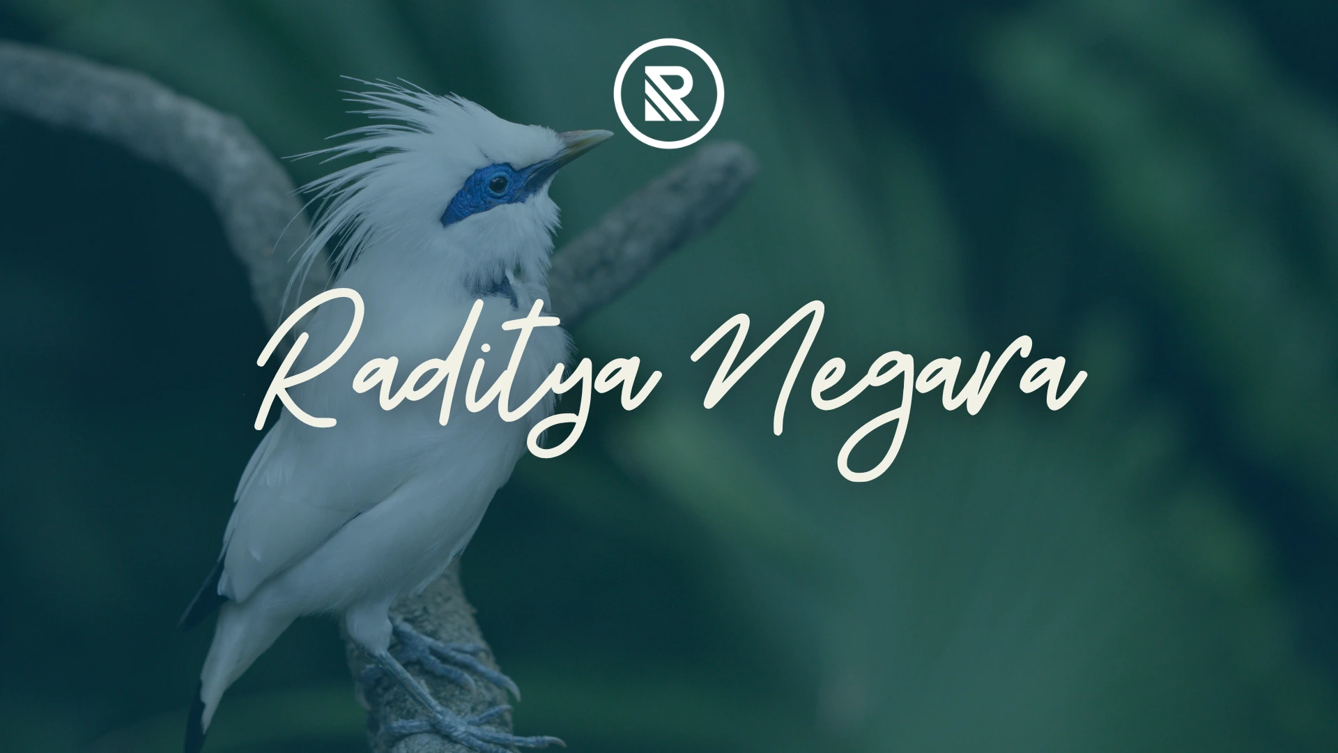 Banner Hero PT. Raditya Dewata Perkasa Cabang Negara